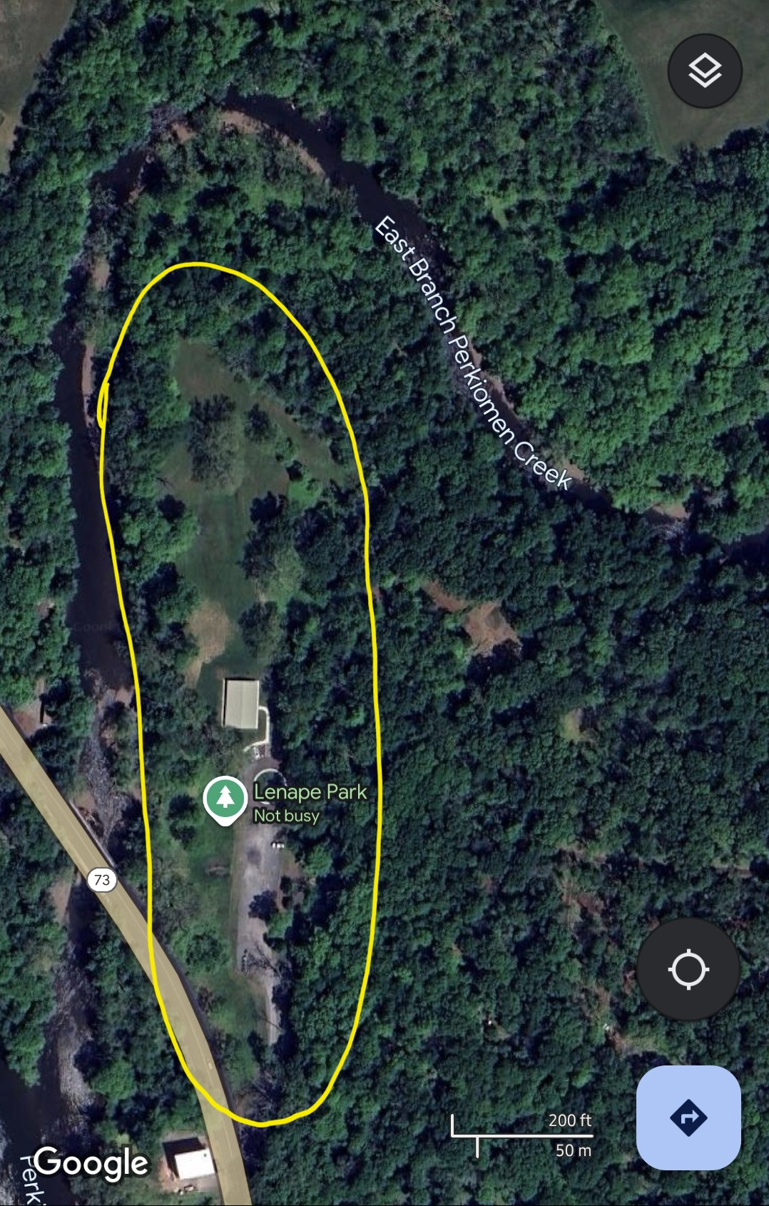 Tree Removal Lenape Park