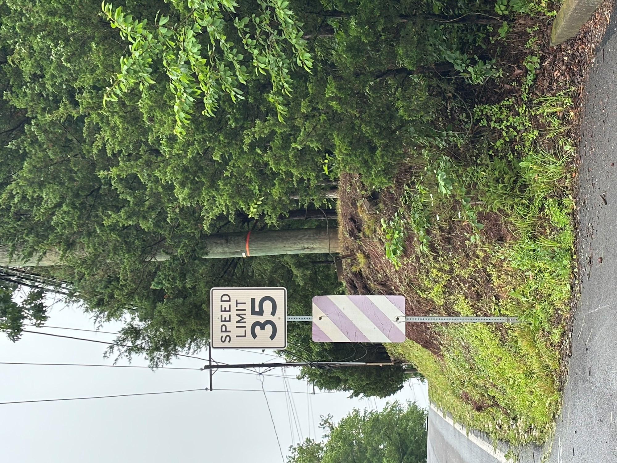 New Rt 113 Speed Limit